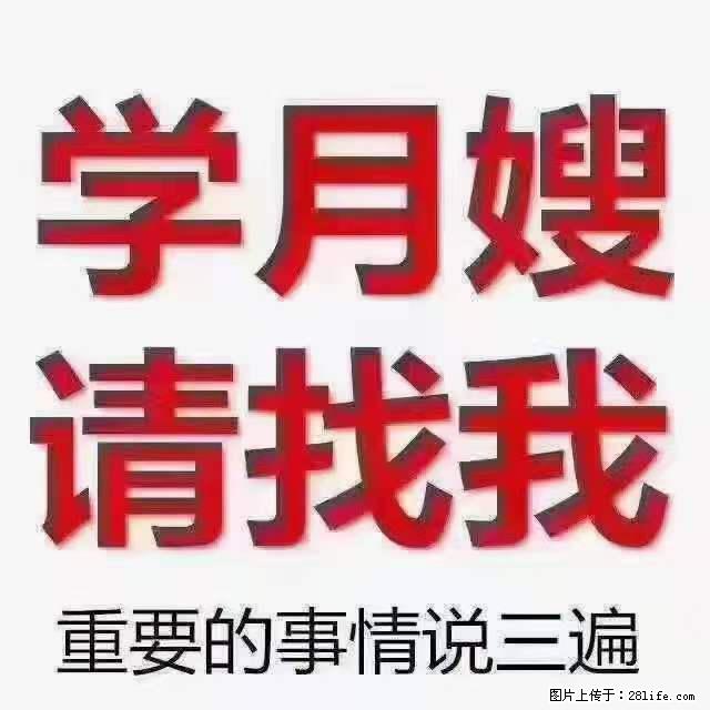 为什么要学习月嫂，育婴师？ - 其他广告 - 广告专区 - 绵阳分类信息 - 绵阳28生活网 mianyang.28life.com