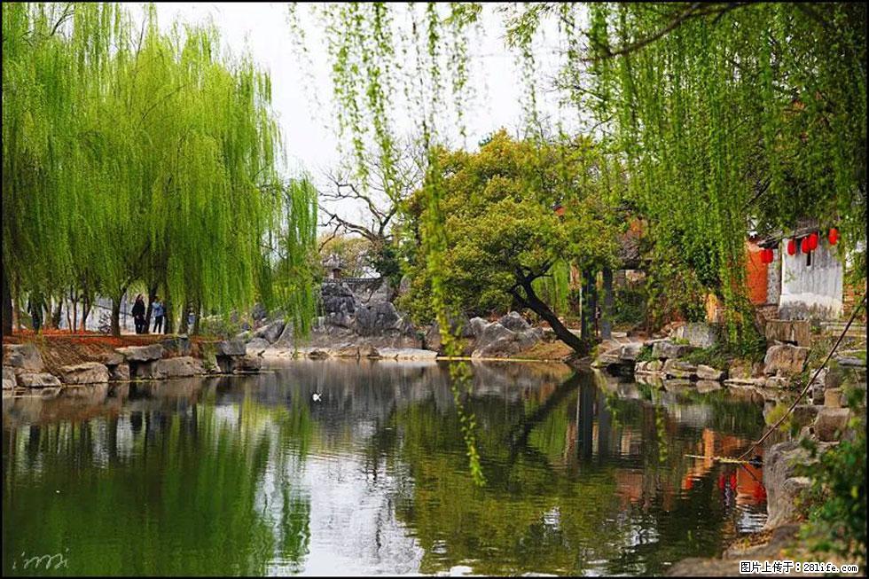 【春天,广西桂林灌阳县向您发出邀请!】江口老街又逢春 - 游山玩水 - 绵阳生活社区 - 绵阳28生活网 mianyang.28life.com