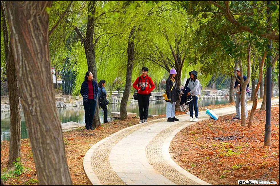 【春天,广西桂林灌阳县向您发出邀请!】江口老街又逢春 - 游山玩水 - 绵阳生活社区 - 绵阳28生活网 mianyang.28life.com