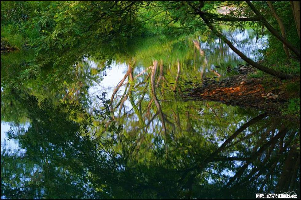 【春天,广西桂林灌阳县向您发出邀请!】熊家寨湿地公园 - 游山玩水 - 绵阳生活社区 - 绵阳28生活网 mianyang.28life.com
