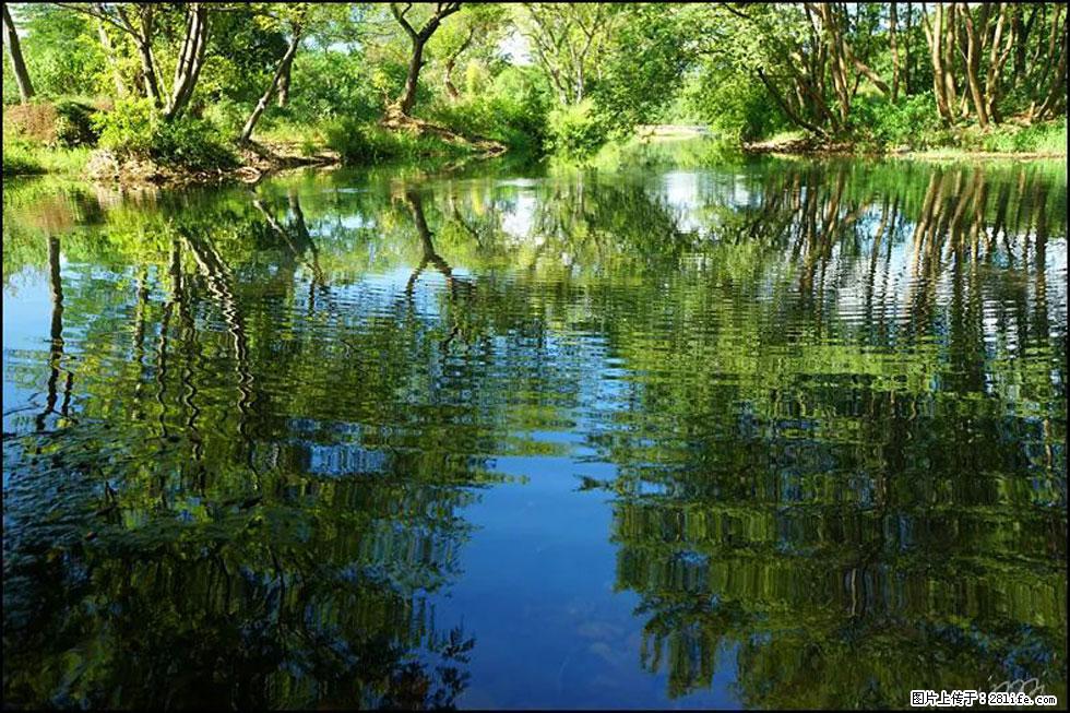 【春天,广西桂林灌阳县向您发出邀请!】熊家寨湿地公园 - 游山玩水 - 绵阳生活社区 - 绵阳28生活网 mianyang.28life.com