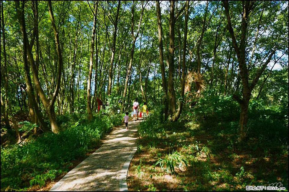 【春天,广西桂林灌阳县向您发出邀请!】熊家寨湿地公园 - 游山玩水 - 绵阳生活社区 - 绵阳28生活网 mianyang.28life.com