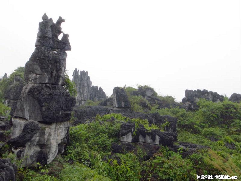 桂林旅游名城景点：灌阳文市石林 - 游山玩水 - 绵阳生活社区 - 绵阳28生活网 mianyang.28life.com