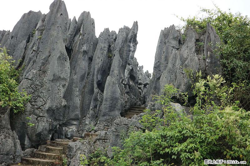 桂林旅游名城景点：灌阳文市石林 - 游山玩水 - 绵阳生活社区 - 绵阳28生活网 mianyang.28life.com