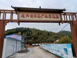 【灌阳县油茶产业示范区】一个有着充实的精神生活的人,对待身外之物自会有一种淡泊的态度 - 绵阳28生活网 mianyang.28life.com