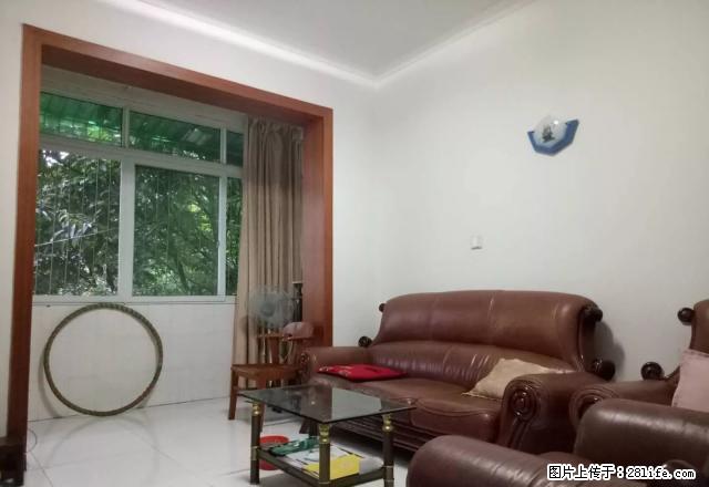 南河坝农业局单位房诚心出租(南街小学旁) - 房屋出租 - 房屋租售 - 绵阳分类信息 - 绵阳28生活网 mianyang.28life.com