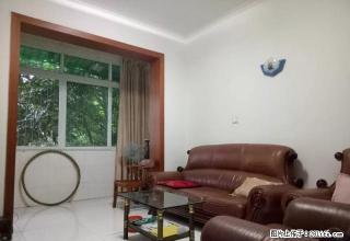 南河坝农业局单位房诚心出租（南街小学旁） - 绵阳28生活网 mianyang.28life.com