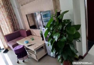 好房急租树高卡地亚2室2厅1卫 家电家具齐全 拎包入住 - 绵阳28生活网 mianyang.28life.com