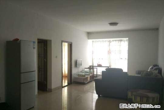 九洲国际 1300元 2室2厅1卫 普通装修,没有压力的居住 - 房屋出租 - 房屋租售 - 绵阳分类信息 - 绵阳28生活网 mianyang.28life.com
