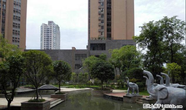 离外国语学校很近的 铂金时代一室一厅,拎包入住。 - 房屋出租 - 房屋租售 - 绵阳分类信息 - 绵阳28生活网 mianyang.28life.com