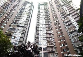 安江名苑 170平米 全装 可住家 或办公 - 绵阳28生活网 mianyang.28life.com