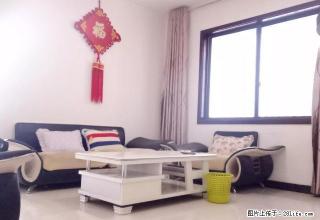 壹佰栋,标准一室一厅,拧包入住,居住舒适。 - 绵阳28生活网 mianyang.28life.com