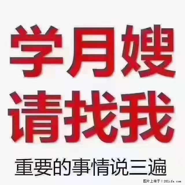 【招聘】月嫂，上海徐汇区 - 职场交流 - 绵阳生活社区 - 绵阳28生活网 mianyang.28life.com