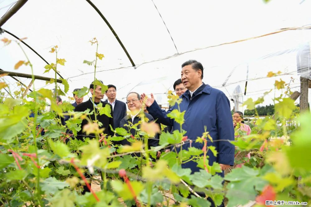 习近平赴广西考察调研 - 绵阳生活资讯 - 绵阳28生活网 mianyang.28life.com