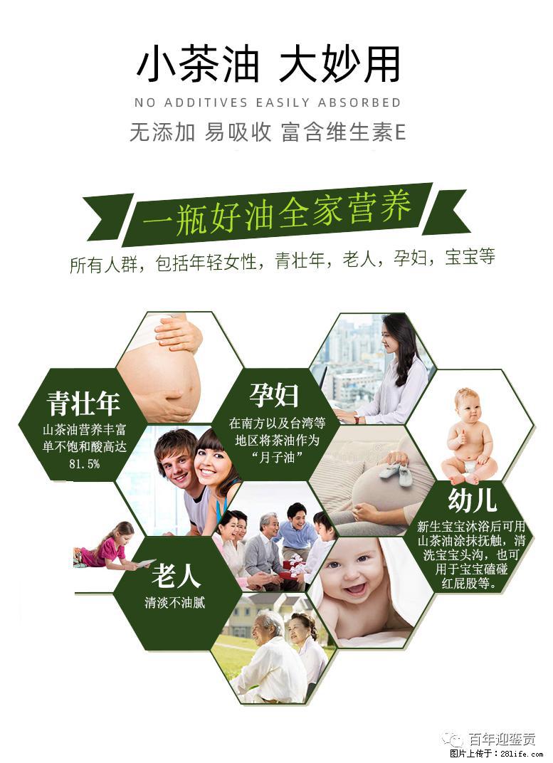 世界没有真相,只有认知,最好的食用油是中国的山茶油! - 绵阳生活资讯 - 绵阳28生活网 mianyang.28life.com