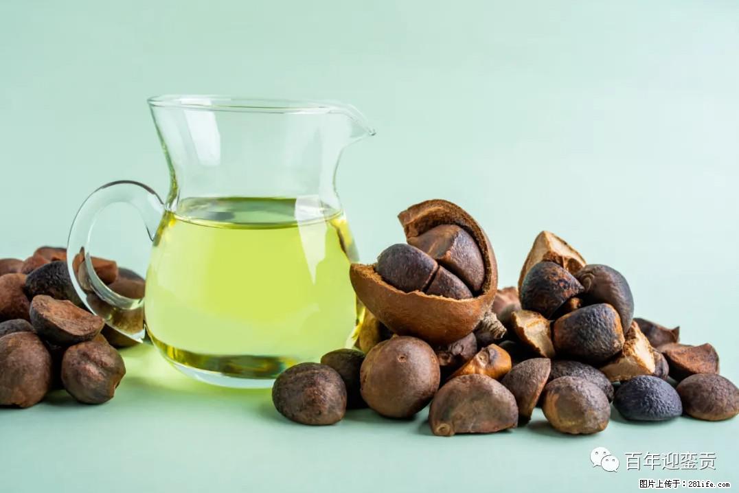 世界没有真相,只有认知,最好的食用油是中国的山茶油! - 绵阳生活资讯 - 绵阳28生活网 mianyang.28life.com