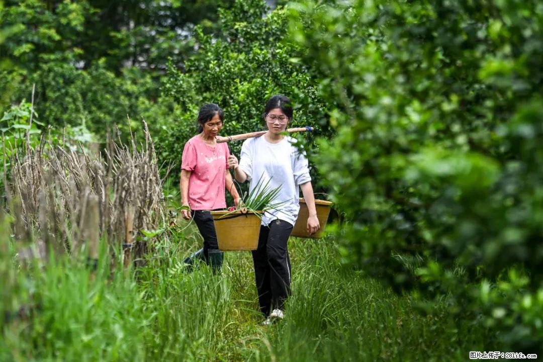 全网追的“扁担女孩”,找了一份暑假工,时薪12元 - 绵阳生活资讯 - 绵阳28生活网 mianyang.28life.com