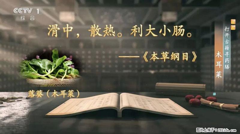 比牛奶补钙还厉害！凉血解毒、稳血糖...这菜冬天必吃，很多人却当草 - 绵阳生活资讯 - 绵阳28生活网 mianyang.28life.com