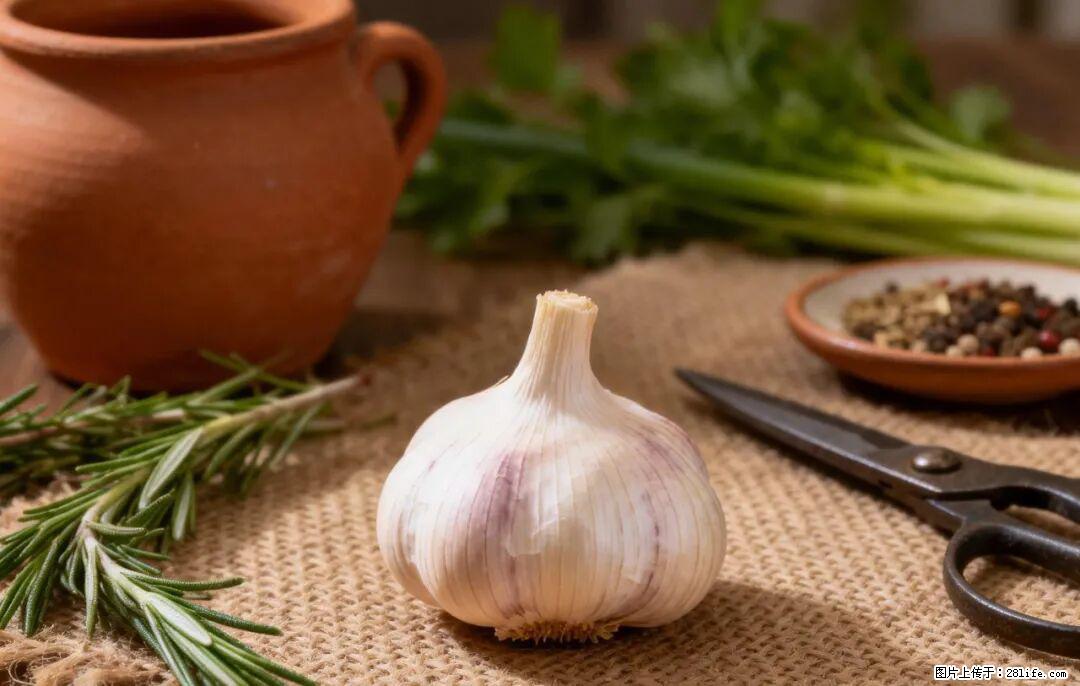 关于大蒜，除了“天然抗生素”，这4个谣言更该警惕! - 绵阳生活资讯 - 绵阳28生活网 mianyang.28life.com