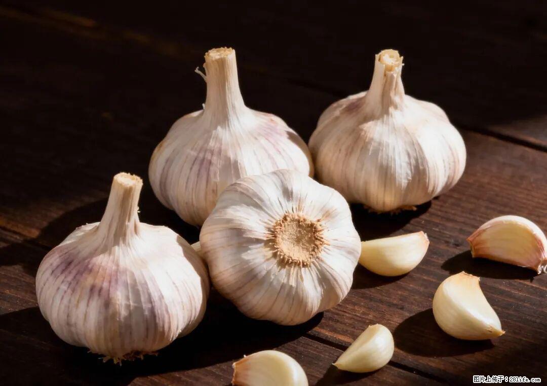 关于大蒜，除了“天然抗生素”，这4个谣言更该警惕! - 绵阳生活资讯 - 绵阳28生活网 mianyang.28life.com