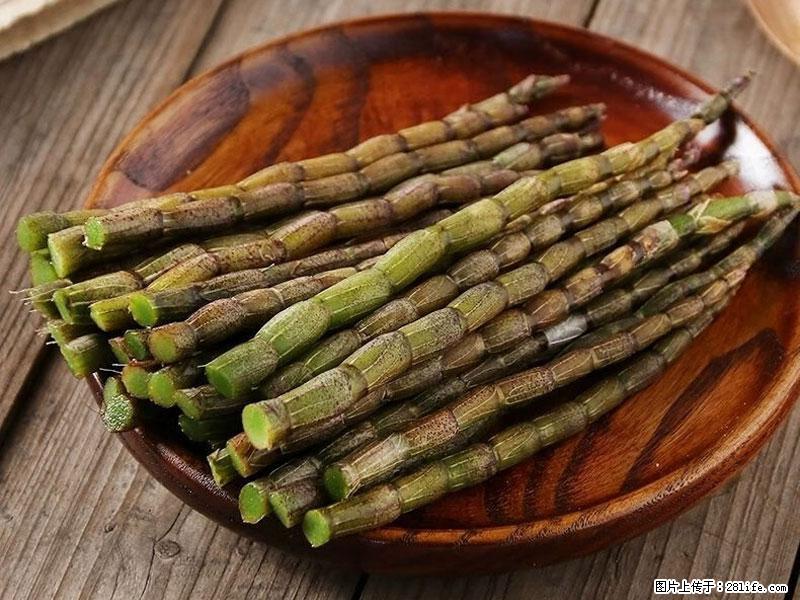 铁皮石斛的作用与功能主治 - 绵阳生活资讯 - 绵阳28生活网 mianyang.28life.com