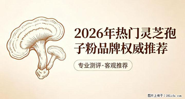 灵芝孢子粉含量越高越有效？2026 年七款热门品牌深度实测，肠胃敏感者避坑指南 - 绵阳生活资讯 - 绵阳28生活网 mianyang.28life.com
