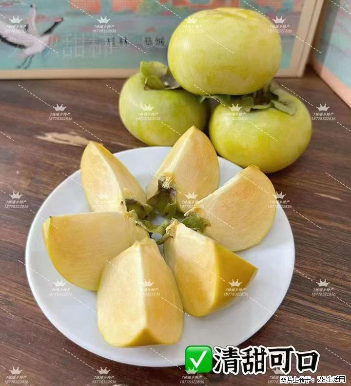 广西桂林平乐桥亭【红心猕猴桃】、【大秋甜柿】上市啦，欢迎各位新老客户下单（另有少量小果出售） - 绵阳生活资讯 - 绵阳28生活网 mianyang.28life.com